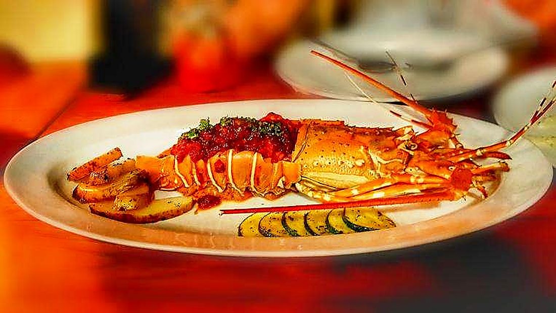 Lobster Thermidor (stand-in photo)